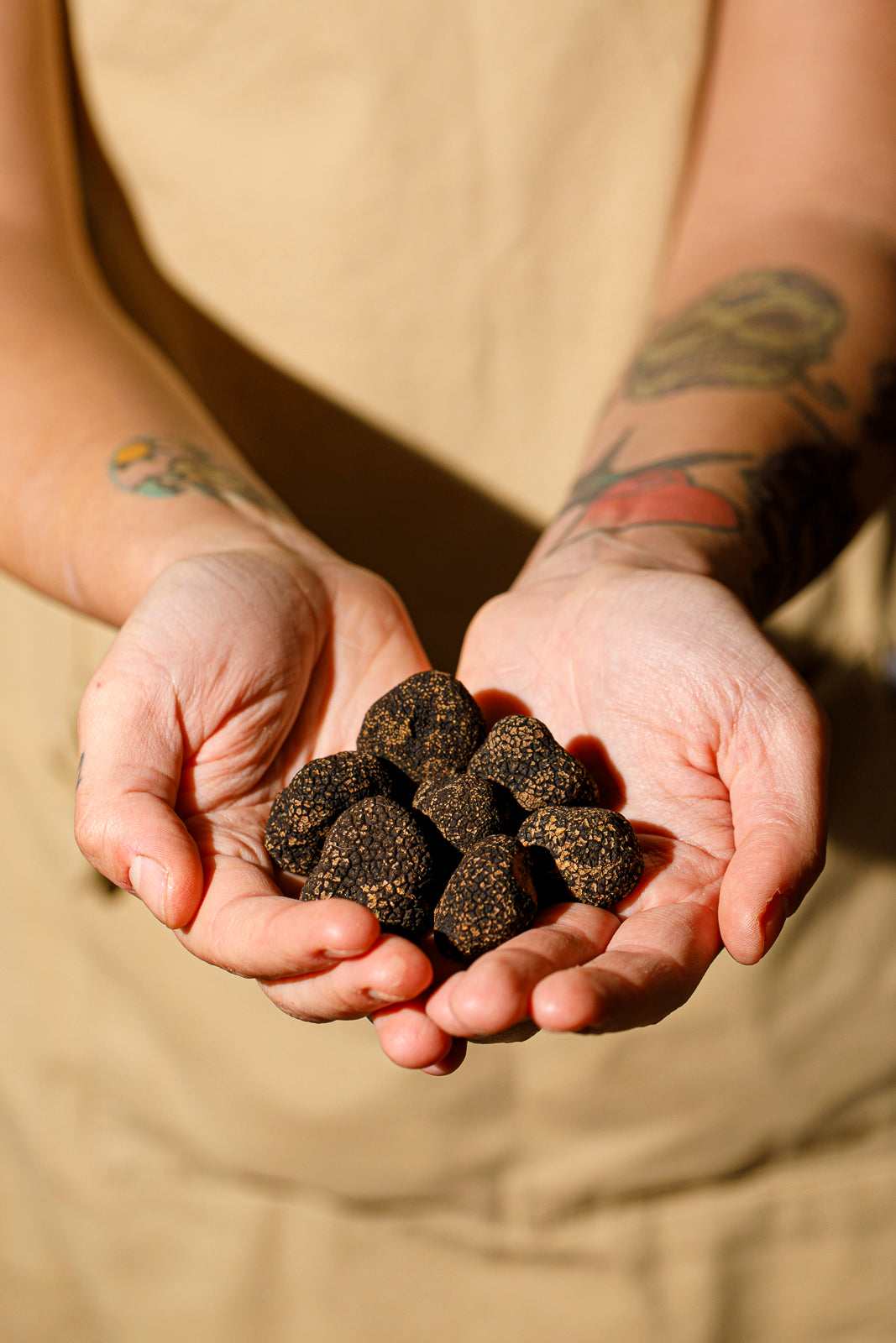 Pasta Fresca e Tartufo Nero