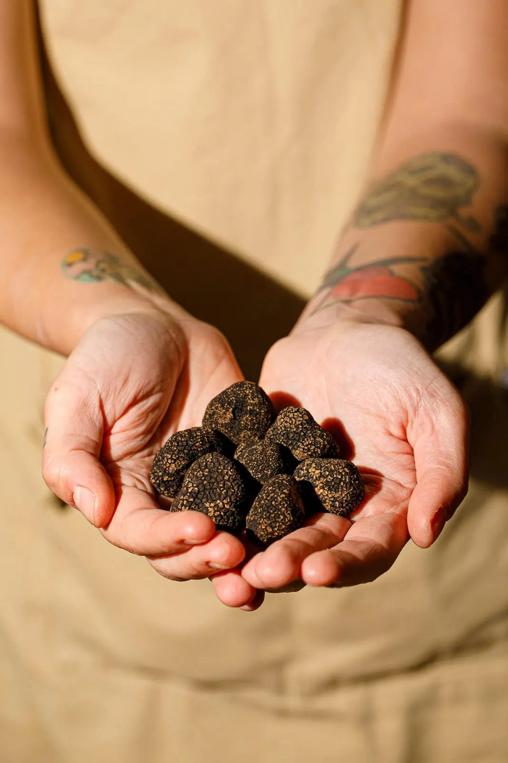 Pasta fresca e Tartufo nero - Pasta Special Cooking Class