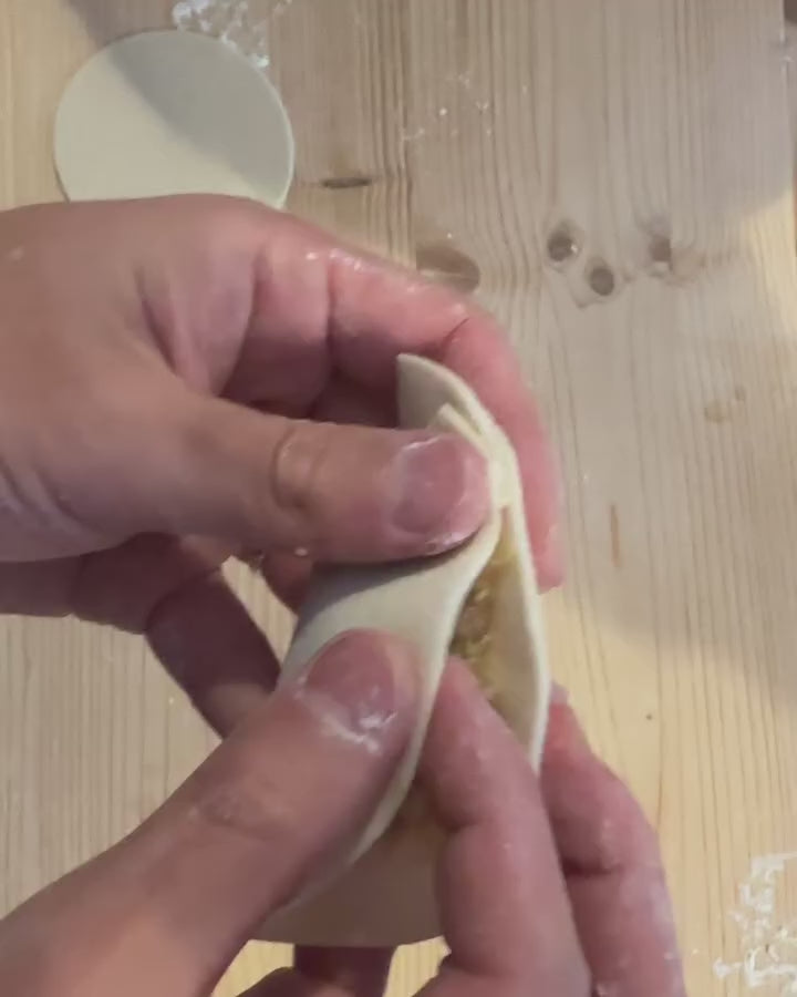 ricetta gyoza di carne